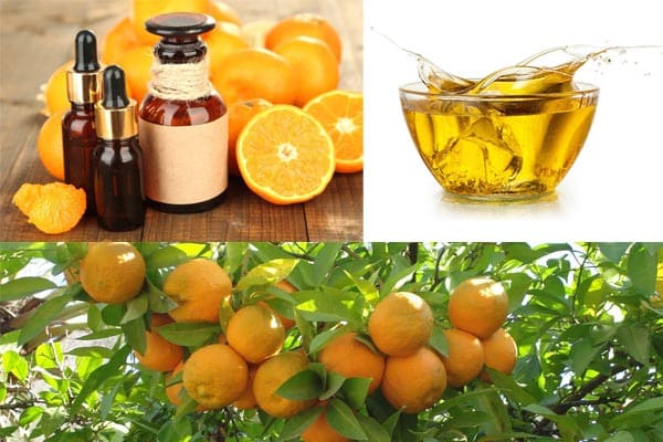 Aceite esencial de naranja agria. Opiniones. Propiedades. Beneficios. Como funciona. Efectos.